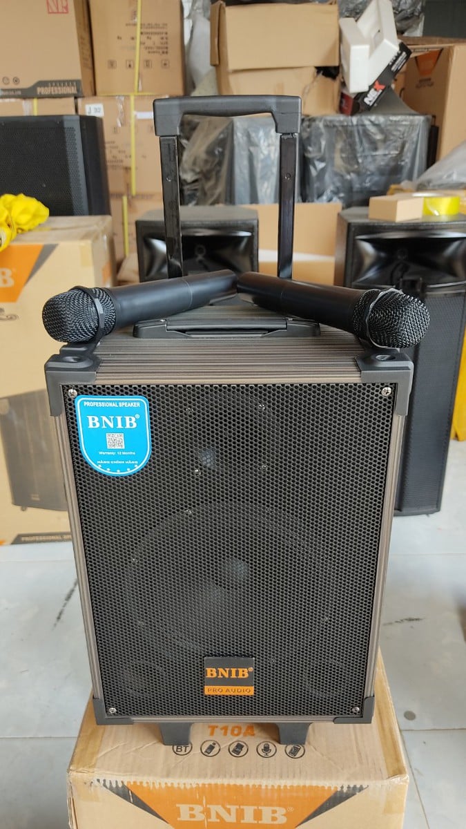 LOA KÉO BINB T8 BASS 20