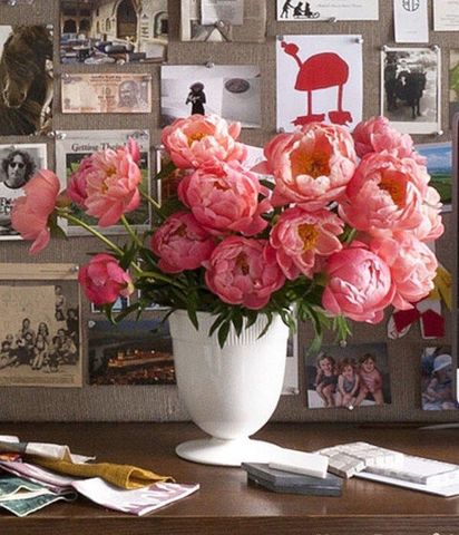 30 ý tưởng trang trí nhà đẹp bằng hoa