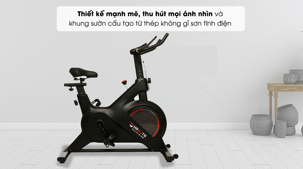 Xe Đạp Tập Thể Dục Hasuta HEB-811
