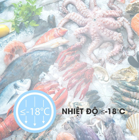 Tủ đông Sanaky VH-2899W2KD, 280 lít, 2 chế độ - Liên hệ để được giá tốt