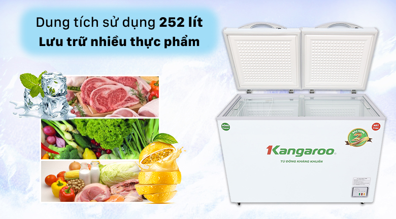 TỦ ĐÔNG KANGAROO KG400NC2, 252L, 2 CHẾ ĐỘ
