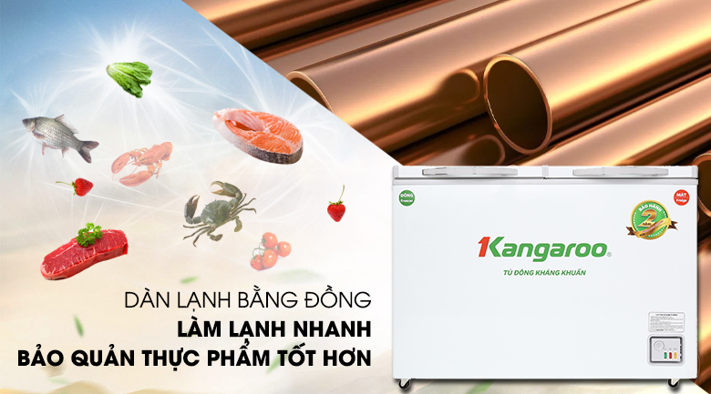 TỦ ĐÔNG KANGAROO KG400NC2, 252L, 2 CHẾ ĐỘ