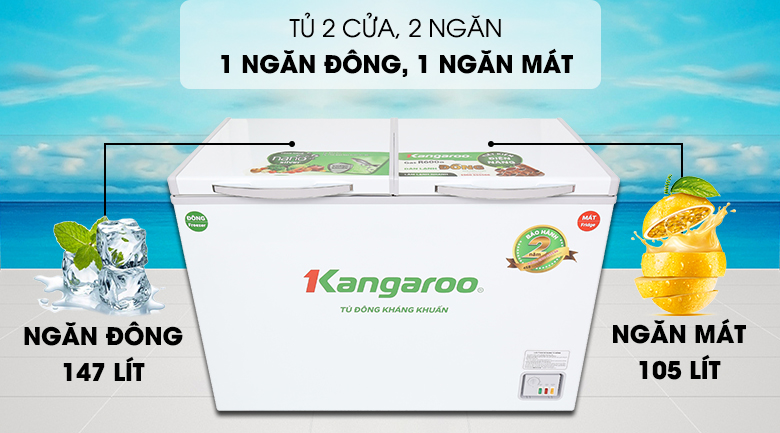 TỦ ĐÔNG KANGAROO KG400NC2, 252L, 2 CHẾ ĐỘ