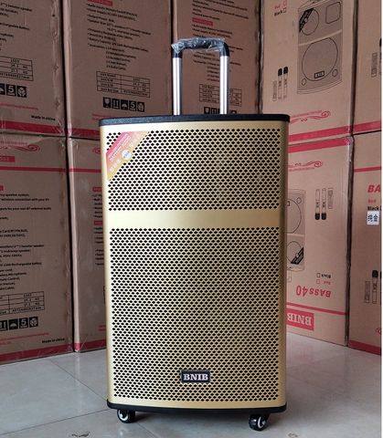 LOA KÉO BNIB 1203 BASS 30