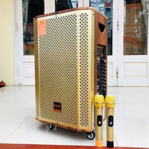 LOA KÉO BNIB 1206 BASS 30 , 3 ĐƯỜNG TIẾNG