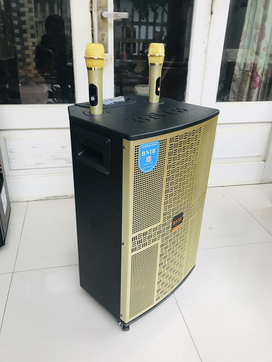 LOA KÉO BNIB 1209   BASS 30cm, 3 ĐƯỜNG TIẾNG