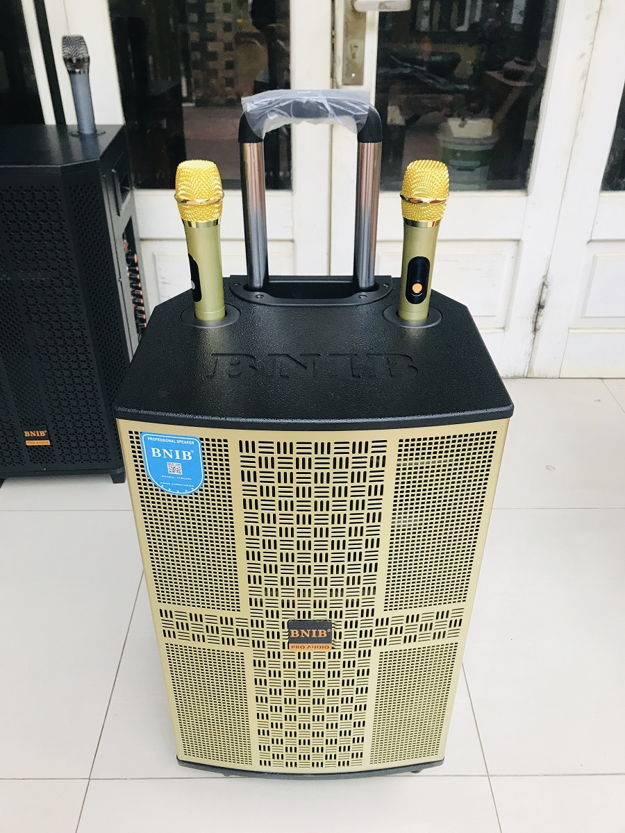 LOA KÉO BNIB 1209   BASS 30cm, 3 ĐƯỜNG TIẾNG