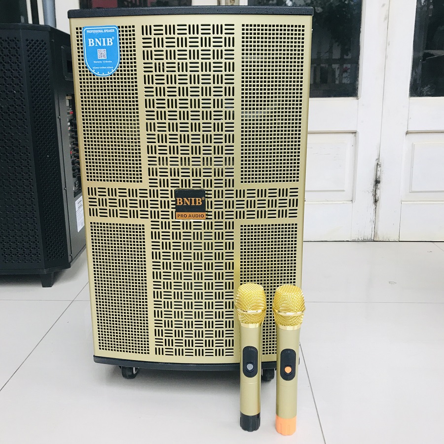 LOA KÉO BNIB 1209   BASS 30cm, 3 ĐƯỜNG TIẾNG