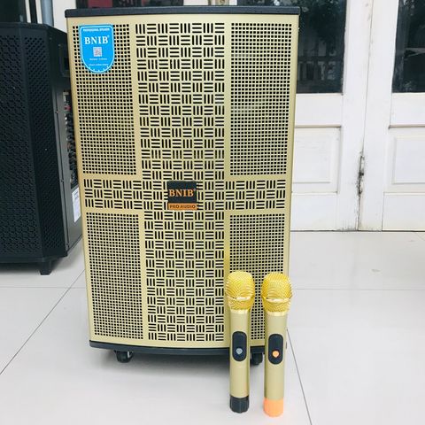 LOA KÉO BNIB 1209   BASS 30cm, 3 ĐƯỜNG TIẾNG