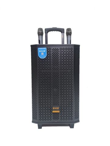 LOA KÉO BNIB 1299 BASS 30