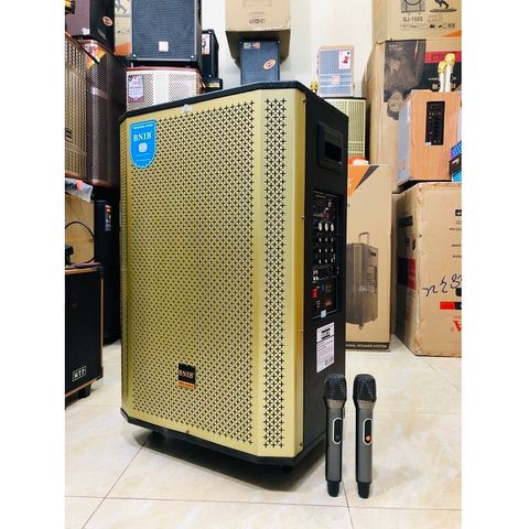 LOA KÉO BNIB 1806   BASS 50, CÔNG SUẤT CỰC MẠNH