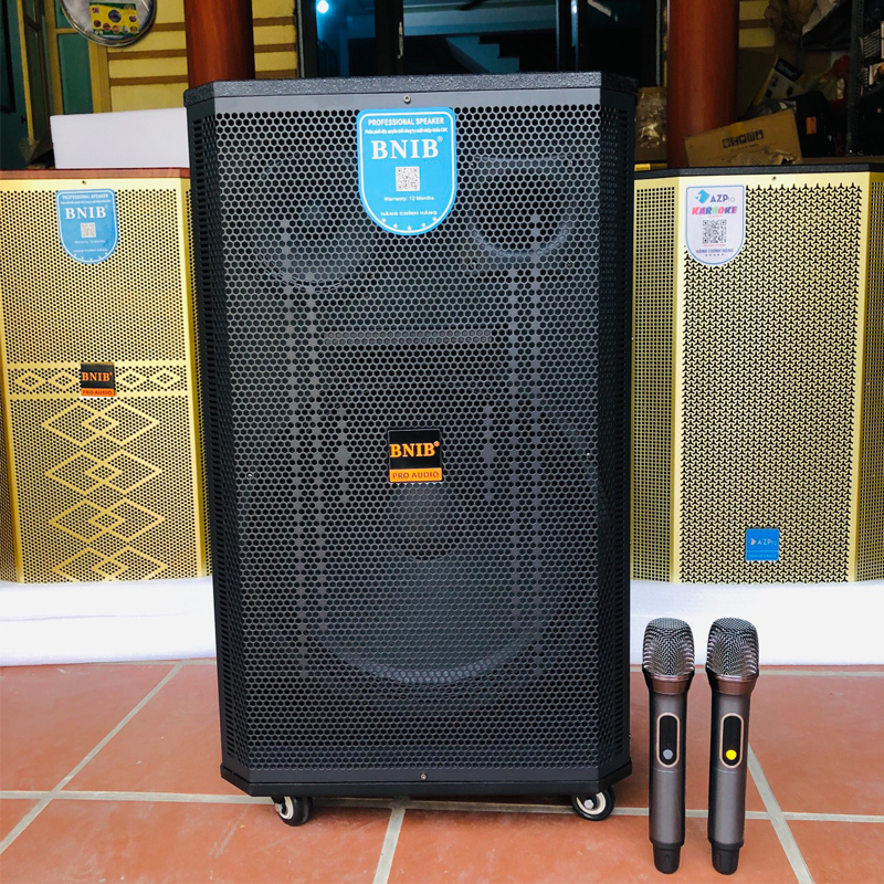 Loa kéo BNIB 2583 | Bass 40