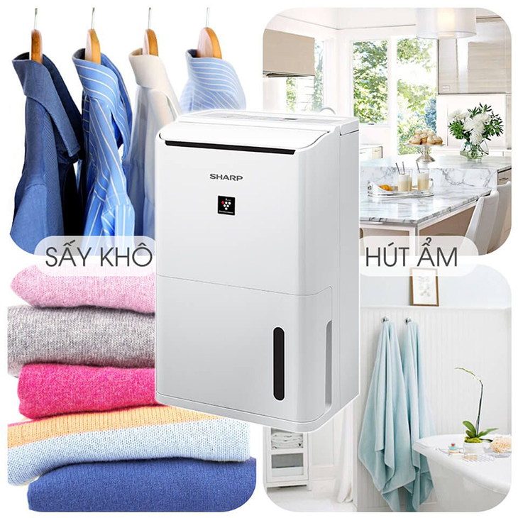 Máy hút ẩm có lọc không khí Sharp DW-D12A-W