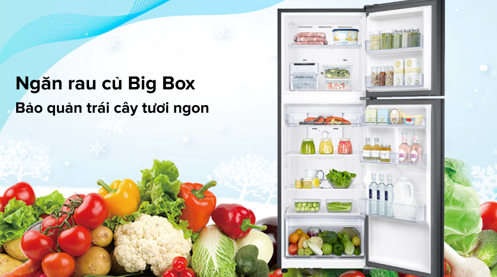 Tủ lạnh Samsung Inverter 302 Lít RT29K503JB1/SV