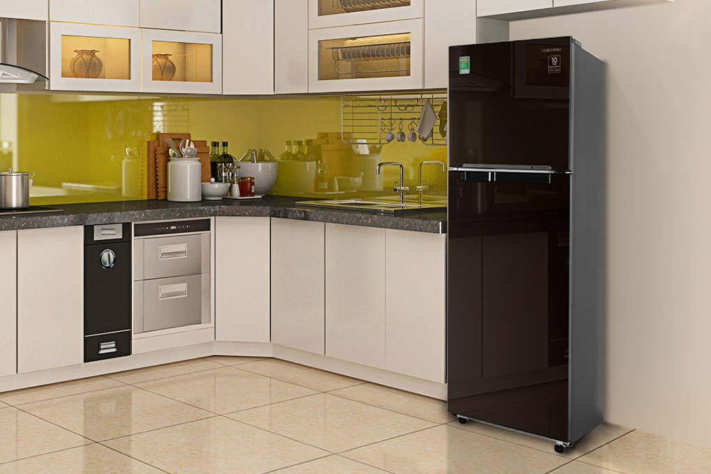 Tủ lạnh Samsung Inverter 256 lít RT25M4032BY/SV màu nâu