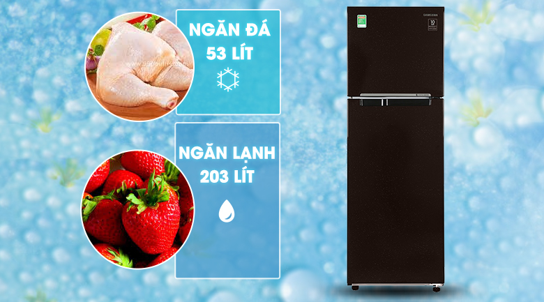 Tủ lạnh Samsung Inverter 256 lít RT25M4032BY/SV màu nâu