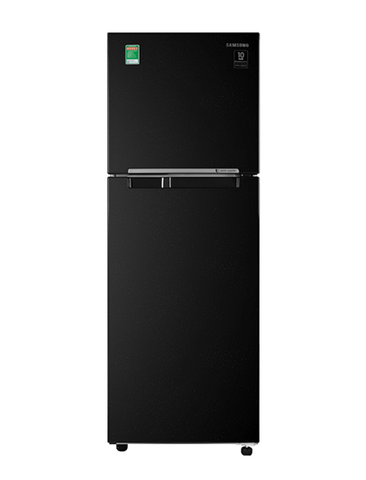 Tủ lạnh Samsung Inverter 236 lít RT22M4032BU/SV