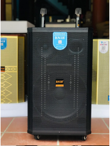 Loa kéo BNIB 2583 | Bass 40