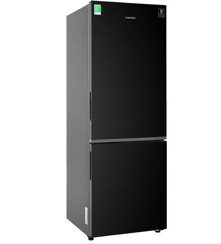 Tủ lạnh Samsung Inverter 310 lít RB30N4010BU/SV
