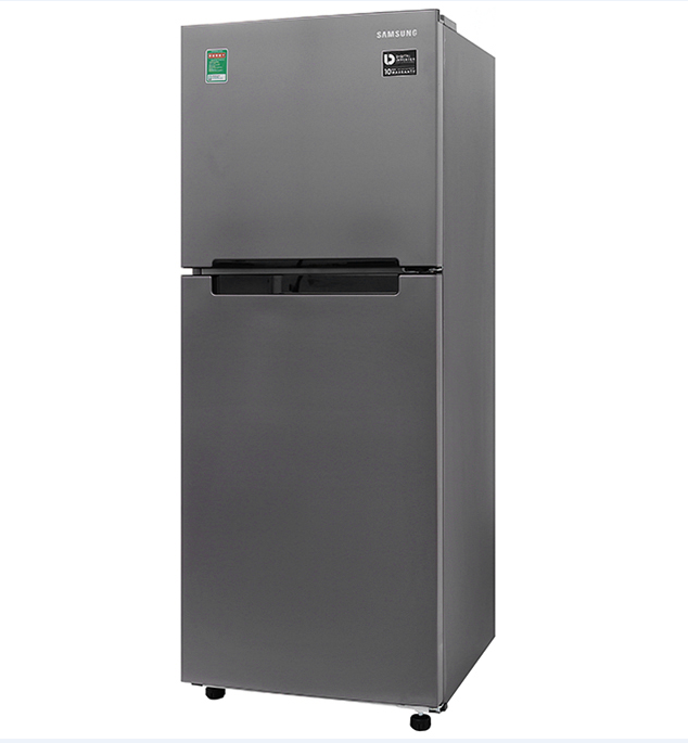 Tủ lạnh Samsung Inverter 208 lít RT19M300BGS/SV