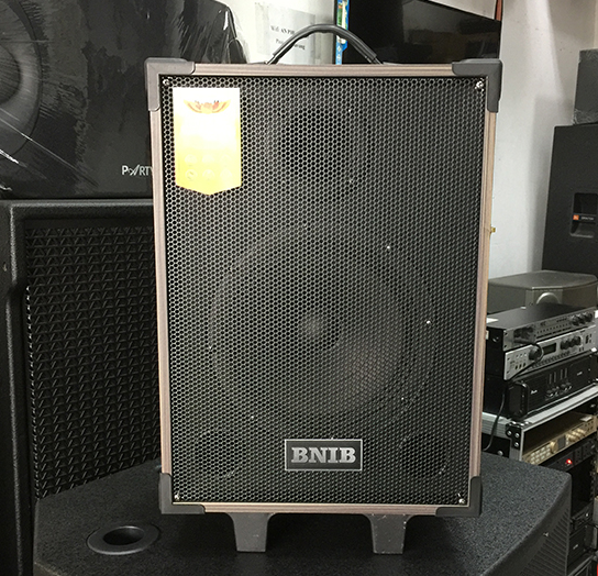 LOA KÉO BINB T8 BASS 20