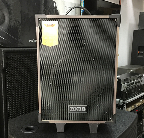 LOA KÉO BINB T8 BASS 20