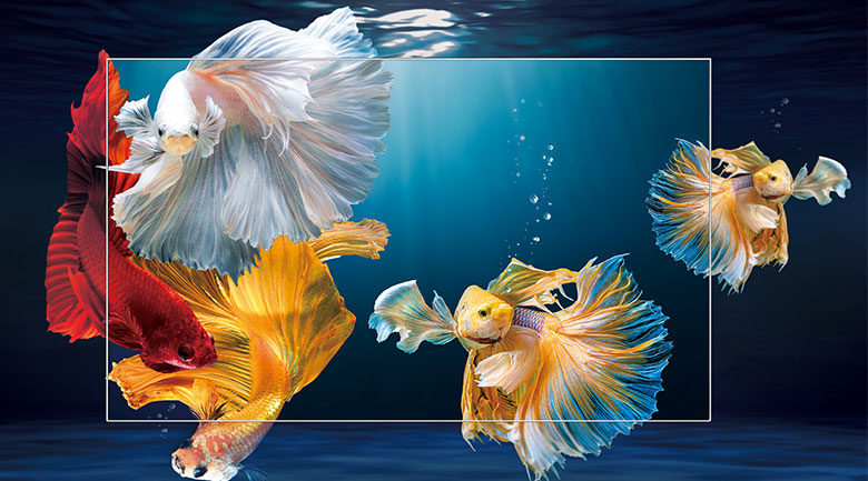 Tivi QLED TCL 4K 50 inch 50Q726