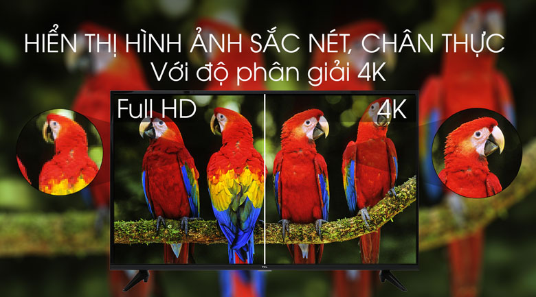 Android Tivi TCL 4K 43 inch 43T65