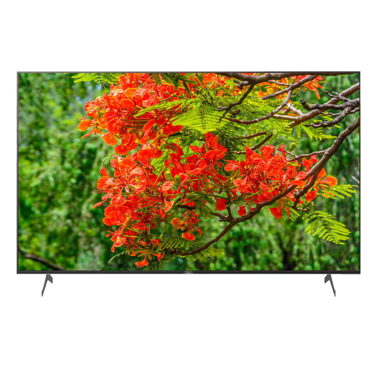 Tivi Samsung  4K 75 inch UA75AU8000KXXV