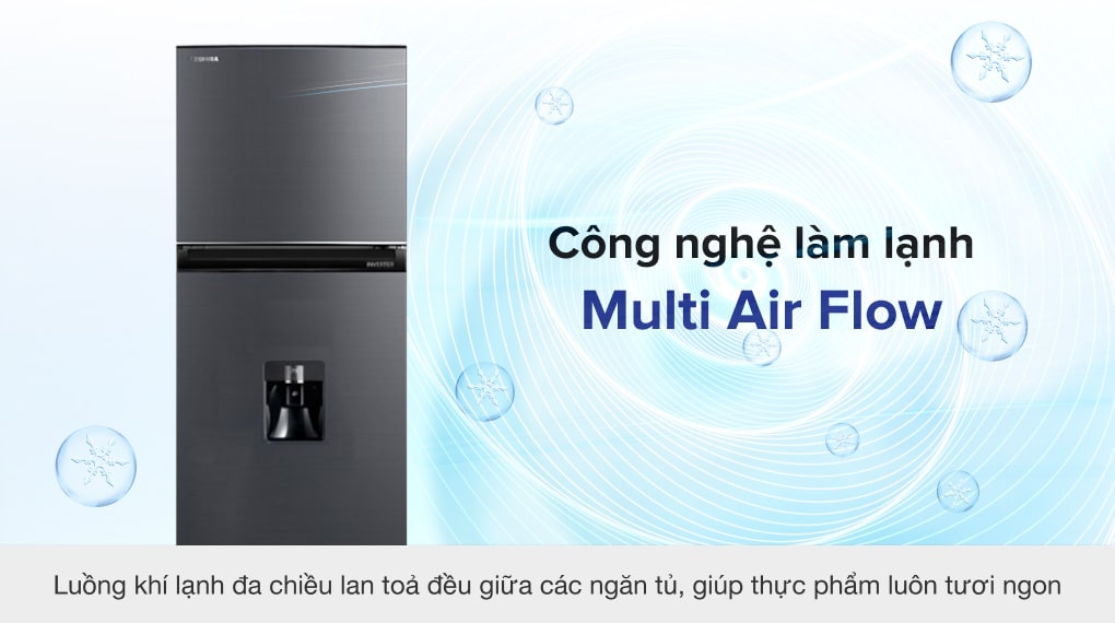 Tủ lạnh Toshiba GR-RT325WE-PMV(06)-MG 249L lấy nước ngoài Inverter