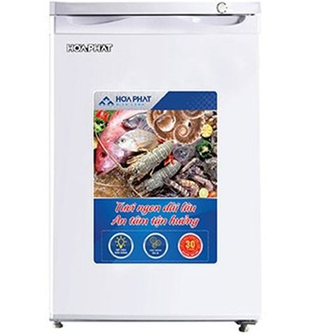 Tủ đông đứng Hòa Phát HUF-300SR1