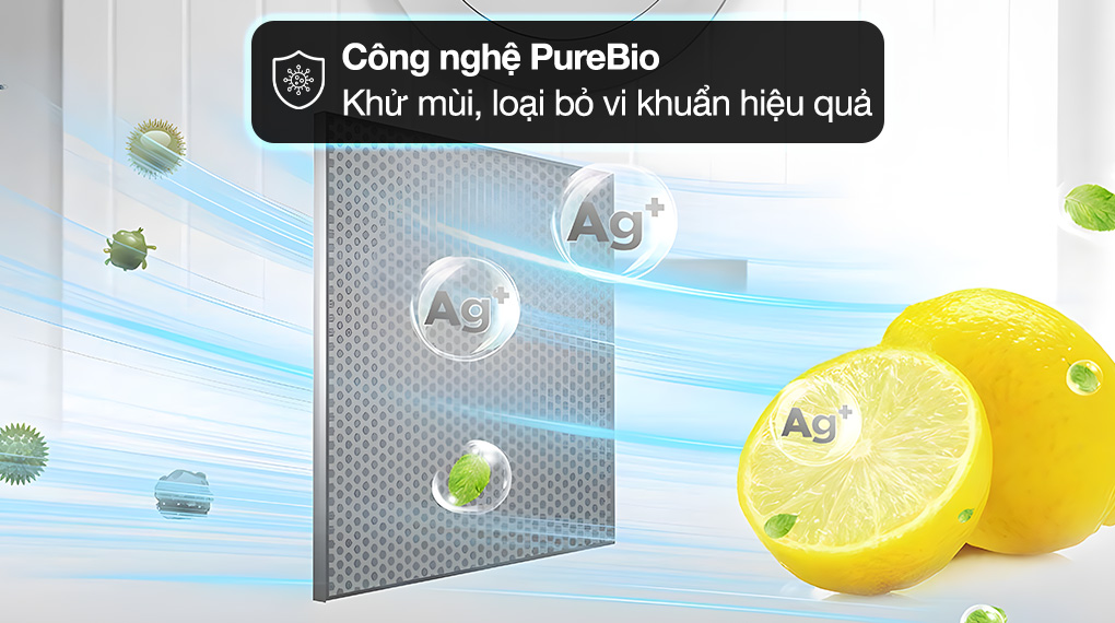 TỦ LẠNH TOSHIBA GR-RT303WE-PMV(52) Inverter 233 lít