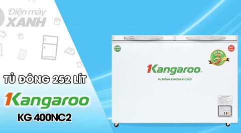 TỦ ĐÔNG KANGAROO KG400NC2, 252L, 2 CHẾ ĐỘ
