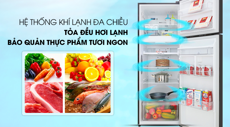 Tủ lạnh LG GN-D315BL 315l màu đen vòi nước ngoài