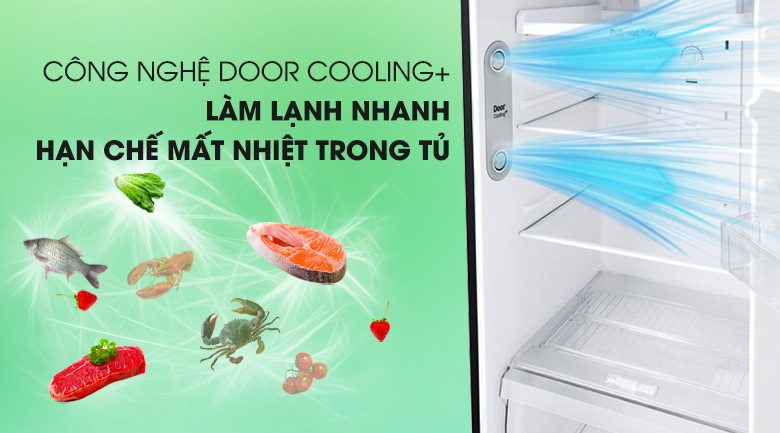 Tủ lạnh LG GN-D315BL 315l màu đen vòi nước ngoài