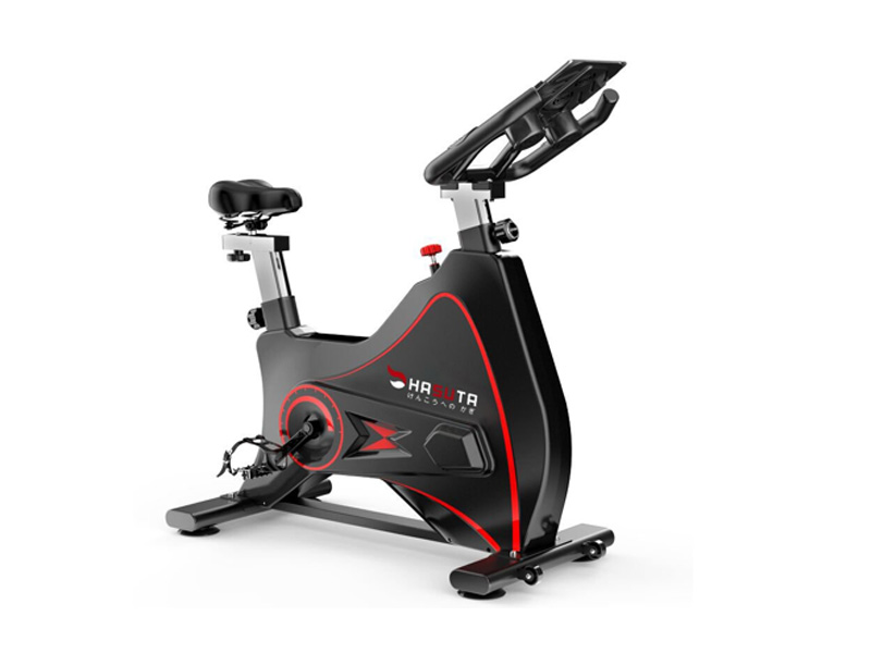 Xe Đạp Tập Thể Dục Hasuta HEB-812