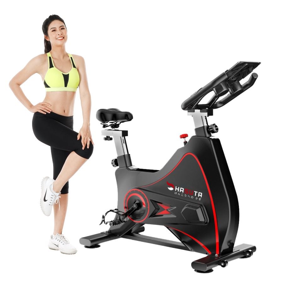 Xe Đạp Tập Thể Dục Hasuta HEB-812