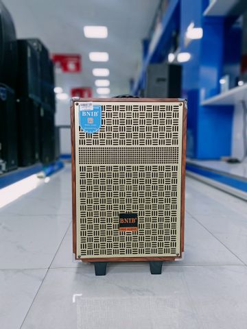 LOA KÉO BNIB M10 BASS 25