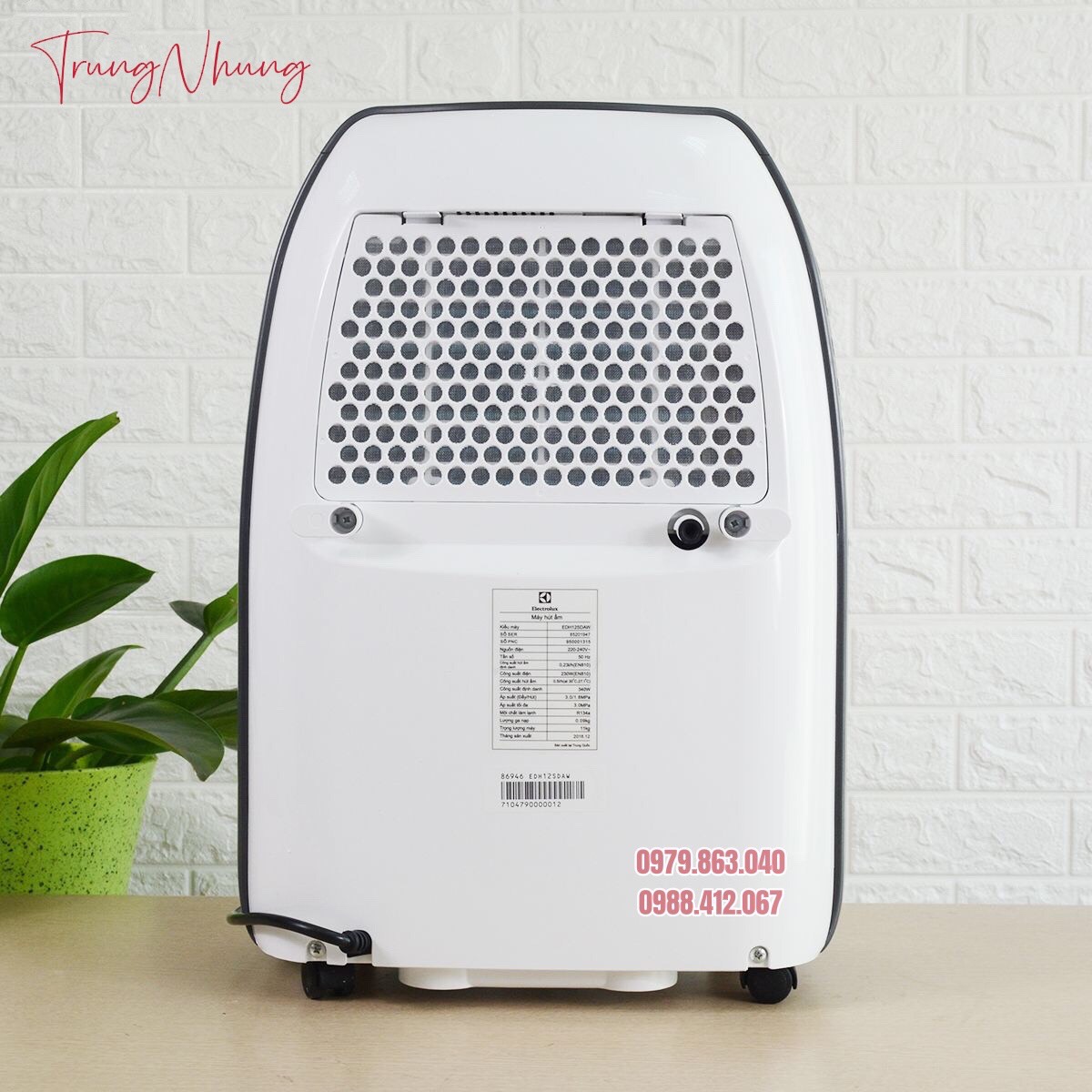 Máy hút ẩm Electrolux EDH12SDAW, 12 lít