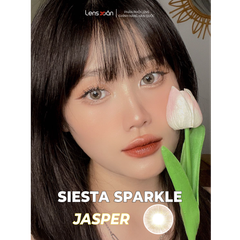 Siesta Sparkle Jasper - COLOR CL