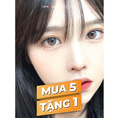 Lens 1 ngày Oriana Shade Gray - ISHA