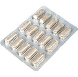  Suvéal® Mg-Fe bổ sung Magie, Vitamin B6 và Sắt cho cơ thể 