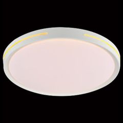 Đèn mâm ốp trần tròn siêu sáng Ø400*H80-LED 30W*2 MSS-667