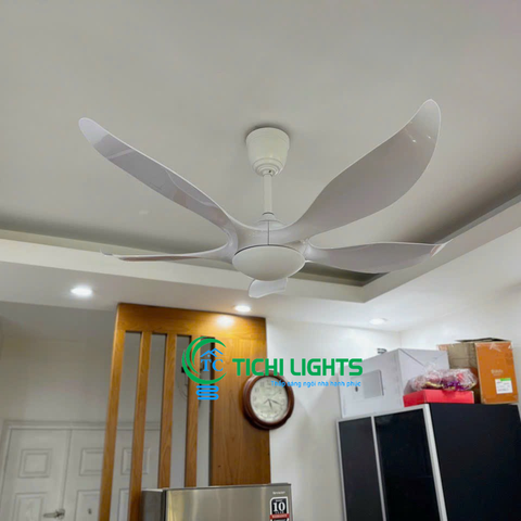 Đèn Quạt Trần Trang Trí TC012