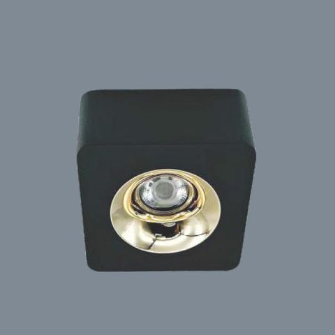 Đèn Ốp Trần Downlight Cao Cấp LX769/1D