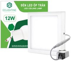 Đèn LED ốp trần vuông 12W GSOT12