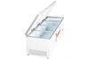 Tủ đông Sanaky 2000 lít VH 2399HY3