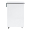 Tủ đông Sanaky 260 lít VH 3699W4K