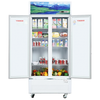 Tủ mát Sanaky Inverter VH 8009HP3 800 lít