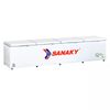 Tủ đông Sanaky 2000 lít VH 2399HY3